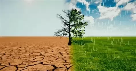 The Source of Rain: A New Key to Food Stability